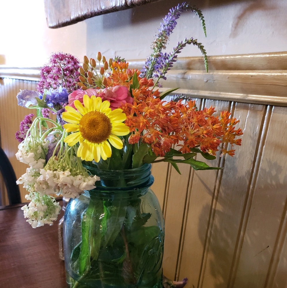 Meet your Posher, Theano